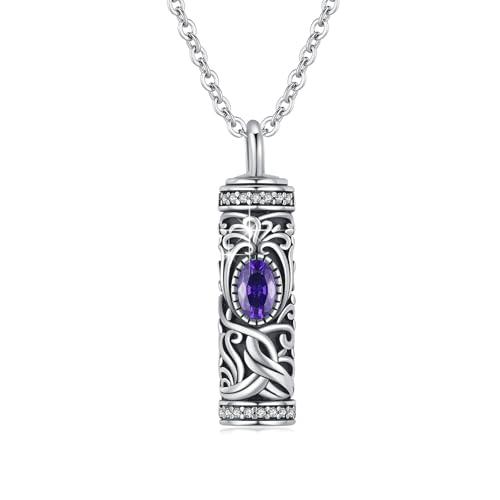 Urn Necklace for Ashes Cremation Jewelry 925 Sterling Silver Ashes Pendant Necklace Memorial Jewelry Gifts for Women Men Girls Boys - style: Tree of life-B-February-Amethyst