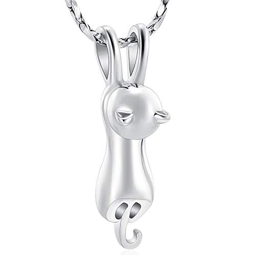 Imrsanl Pet Cremation Jewelry for Ashes Cat Urn Necklace - color: Silver