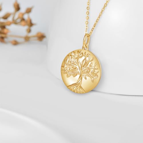 TUGHRA Mother's Day Gifts Gold Locket Necklaces for Women, 925 Sterling Silver Heart Photo Lockets Memorial Keepsake Jewelry Gift for Mom, Wife, Daughter - style: 0372-Gold