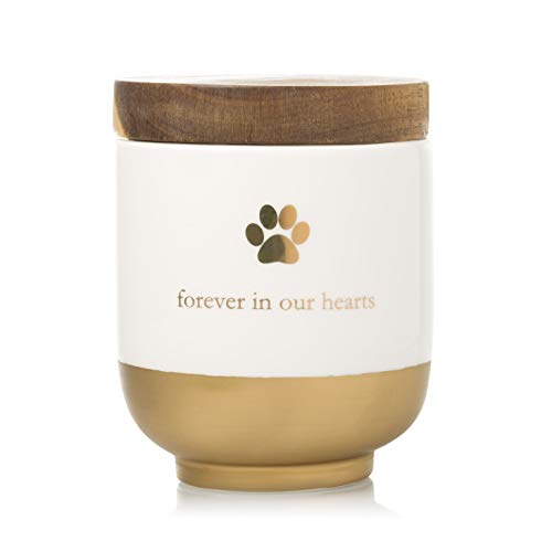Pearhead Pet Ceramic Forever in Our Hearts Urn, Pet Memorial, Gold - style: My Heart Urn, Gold