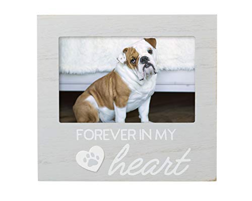 Pearhead Pet Forever In My Heart Memorial Keepsake Picture Frame - Keepsake for Dogs and Cats, Home Decor or Sympathy Gift for Pet Lovers, Heart & Paw Print Design, 4x6 Photo Insert, Gray | 4x6 Photo Insert, Heart & Paw Print Design, Keepsake for Dogs and