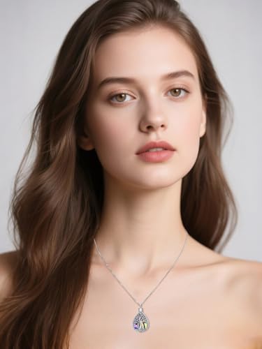 WINNICACA Cremation Jewelry for Ashes Locket Ashes Necklace Urn Necklace for Women Sterling Silver Cremation Necklace for Ashes Fine Keepsake Picture Necklace Memorial Jewelry - style: F01-Tree of Life Teardrop Urn Necklace(Abalone)