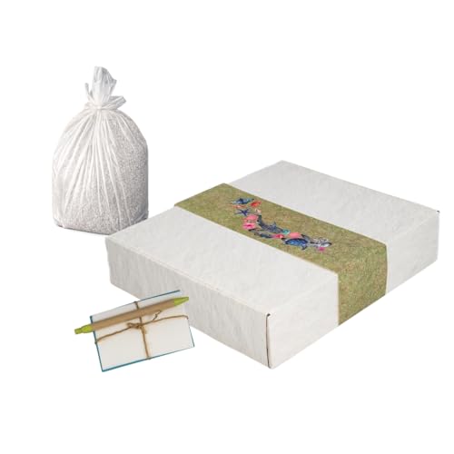 Biodegradable Urn for Human Ashes. Eco-Friendly Cremation Urn for Water or Earth Burial. Includes Water Soluble Ash Bag. 100% Natural. Adult Size 3" H x 12" W x 14" L. (Angel Ocean)