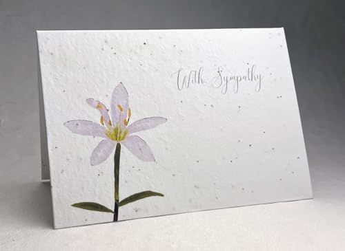 Of The Earth Handmade Paper - Plantable Wildflower Seed Folding Card - Sympathy Designs - 5" x 7" - Set of 3 - w/Recycled Envelopes (Watercolor Lily) - color: Watercolor Lily