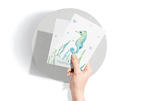 Twigs Paper Marine Thank You Cards, 12 Sea Animal Note Cards with Envelopes | Small size, blank inside, envelopes included, hand-illustrated artwork, thinking of you, bulk value set - color: Sea Animals, size: 12-Count