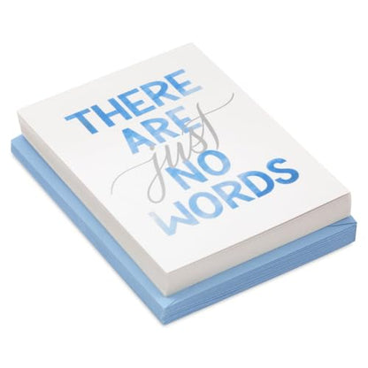 Hallmark Bulk Blank Sympathy Cards with Envelopes, 20-Pack (Just No Words) - color: White, Blue