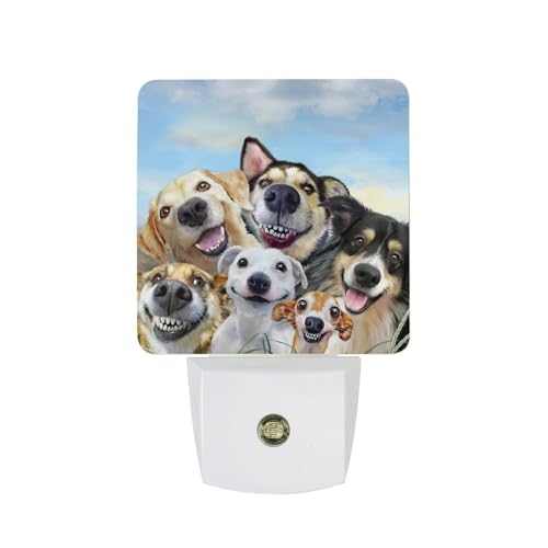 Cute Dog Night Light, Plug into Wall Decor Nightlights for Bedroom, Bathroom, Hallway, Kitchen, with Dusk to Dawn Light Auto Sensors LED Night Lights for Boys Girls Women Men Room Gifts - color: Cute Dog