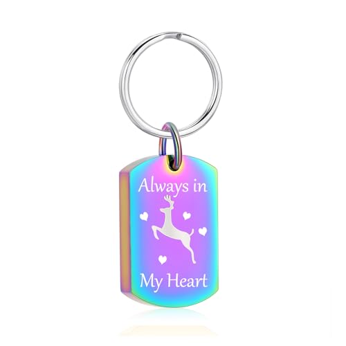Cremation Jewelry Urn Keychain for Ashes for Women Men Memorial Keepsake Pendant - color: Rainbow