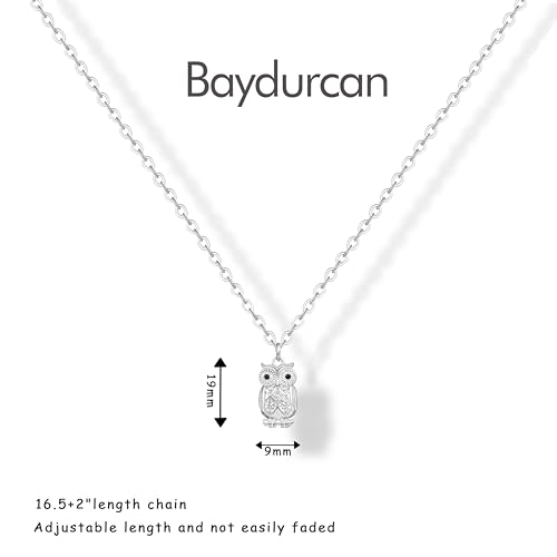 Baydurcan Pendant Necklace for Women Friends Sister Birthday Christmas Gift | Silver Evil Eye Ankh Mary Friendship Dragonfly Hummingbird Snake Turtle Pendant Necklace for Her Just Because Gifts - style: Owl