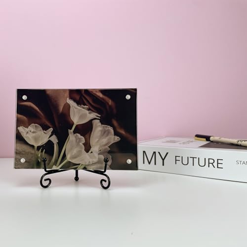 HENABLE 6PCS Premium Black Iron Plate Stands for Display 4 Inch, Decorative Solid Metal Plate Holders for Displaying, Mini Easel, Frame, Book, Card, Plaque, Bowl, Picture Stands for Display - size: 6PCS 4IN
