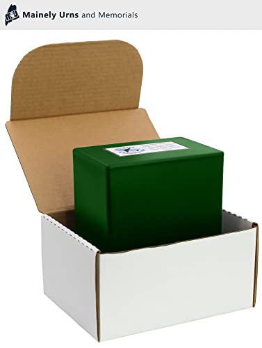 CarrySafe TSA-Approved Travel Urn Kit – Guaranteed Fly-Safe Temporary Cremation Urn for Human Ashes – Personalized, Airline Friendly, 200 Cu in, Green Plastic with Travel Box - color: Green