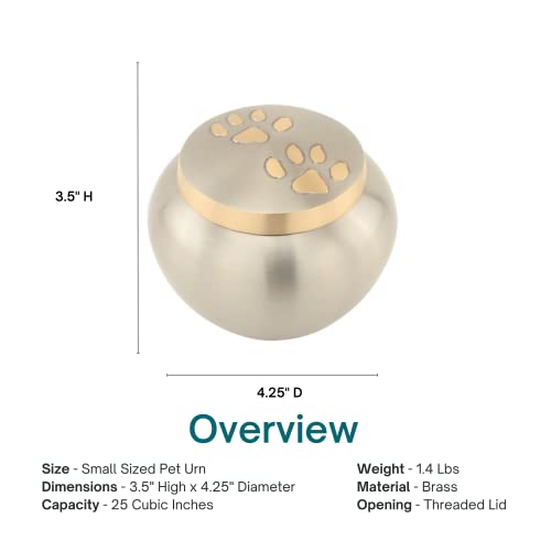 Paw Print Round Pet Cremation Urn for Ashes in Pewter Small, Brass, Small Sized, 3.5 Inches High - color: Pewter Silver, size: Small Pet Urn