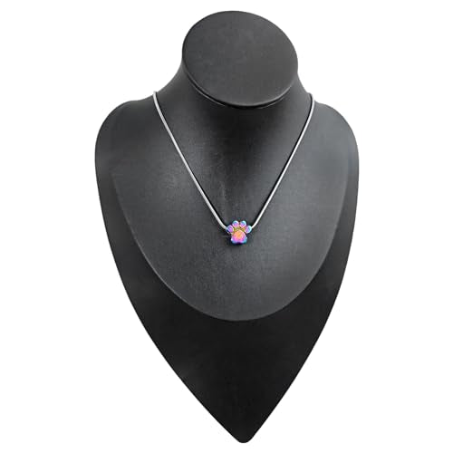 Paw Print Heart Pet Ashes Urn Necklace, Keepsake Pendant-B-Rainbow - style: B-Rainbow