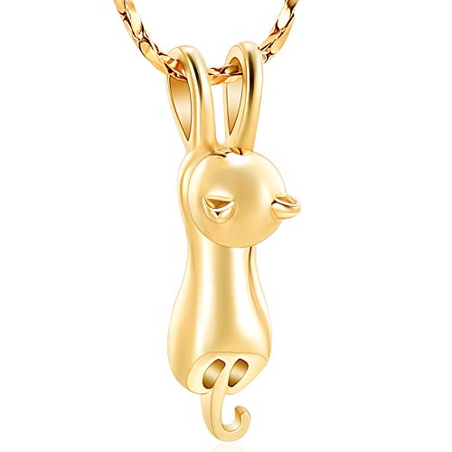Imrsanl Pet Cremation Jewelry for Ashes Cat Urn Necklace - color: Gold
