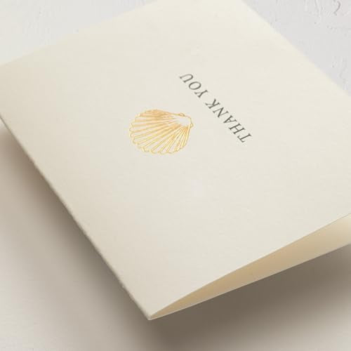 Minted Thank You Cards 10 Pack Simple Seashell Design Folded 4.25 x 5.5 Inch Blank Greeting Cards with Envelopes for Beach Wedding Coastal Events Appreciation Notes - color: Simple Seashell