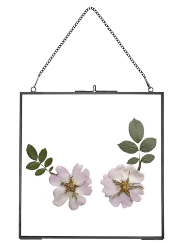 REDHUGO Glass Pressed Flower Frames, Square, Black, 8x8 Inches - color: Black, size: 8L" x 8W"