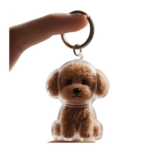Dog Hair Collector Keychain Charm Memorial Storage Box, Transparent Bottle for Pet Hairs Keychain, Pets Fur Keepsake Keyring for Collecting Hair, Portable Pet Memory Capsule(10) - style: F