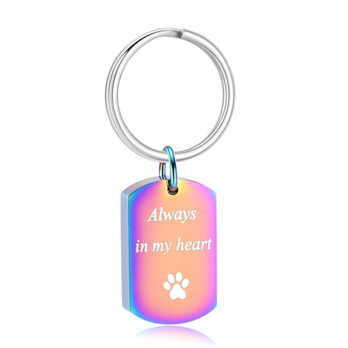 Pet Paw Cremation Jewelry Urn Keychain for Ashes for Women Men Memorial Keepsake Keychain - color: Rainbow