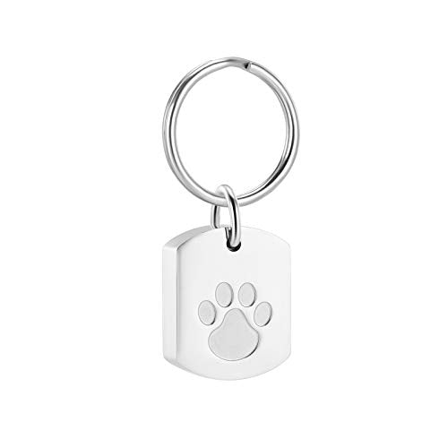 Minicremation Cremation Jewelry Urn Necklace for Ashes for Pet, Paw Print Memorial Ash Jewelry, Keepsake Pendant for Pet's Cat Dog's Ashes with Filling Kit - color: Sliver-Key
