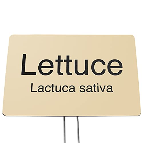 Plastic Garden Sign- Include Your Custom Text for A Garden Dedication or Memorial, or Label Your Plants and Flowers (Almond with Black, 6 x 4) - size: 6 x 4"