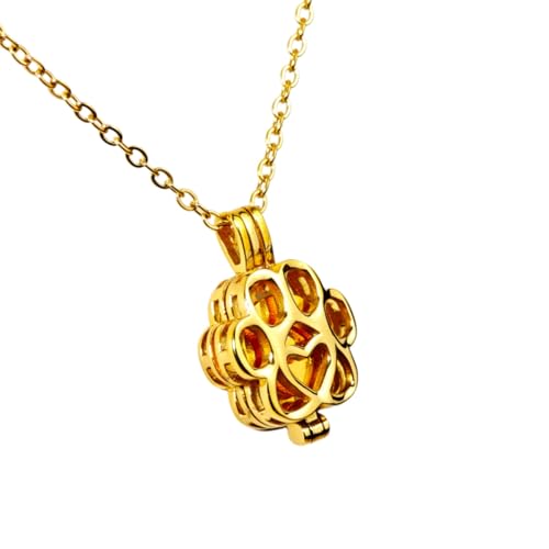 Paw Print Heart Pet Ashes Memorial Necklace with Mini Inner Box-Gold | Pet Cremation Jewelry for Ashes, Cremation Urn Jewelry to Hold Dog & Cat Ashes Pendant with Box Filling Tools - color: Gold