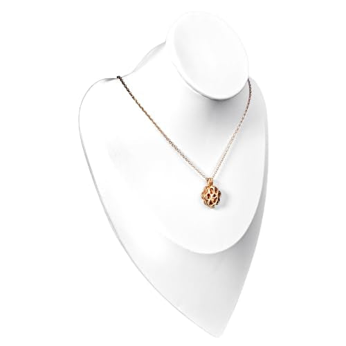 Paw Print Heart Pet Ashes Memorial Necklace with Mini Inner Box-Rose Gold | Pet Cremation Jewelry for Ashes, Cremation Urn Jewelry to Hold Dog & Cat Ashes Pendant with Box Filling Tools - color: Rose Gold