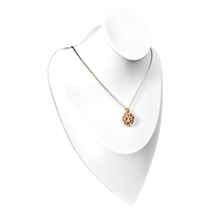 Paw Print Heart Pet Ashes Memorial Necklace with Mini Inner Box-Rose Gold | Pet Cremation Jewelry for Ashes, Cremation Urn Jewelry to Hold Dog & Cat Ashes Pendant with Box Filling Tools - color: Rose Gold