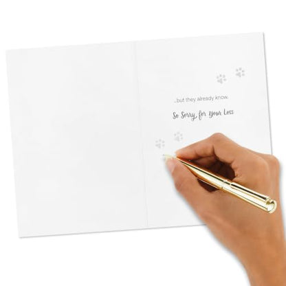Hallmark Pet Sympathy Cards, Assorted 16-Pack (Dogs, Cats, Fur Babies)