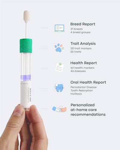 Basepaws Cat DNA Test Kit, Breed, Health & Dental Insights (Pack of 2) - size: 2 Count (Pack of 1)