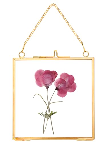 REDHUGO Glass Pressed Flower Frames, Square, Gold, 4x4 Inches - color: Gold, size: 4L" x 4W"