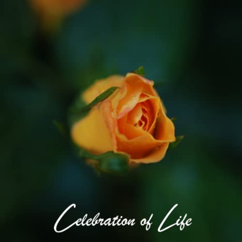 Funeral Guest Books Celebration Of Life: Yellow Button Rose - Memorial Funeral Guest Book