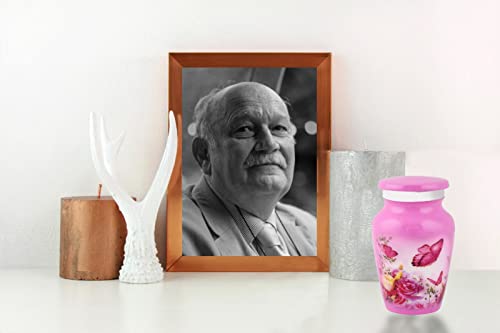 BOLD & DIVINE Beautiful Pink Butterfly Small Keepsake Urns for Human and Pet Ashes | with Velvet Bag & Funnel - 1 Quantity - color: Pink, size: Small (Single)