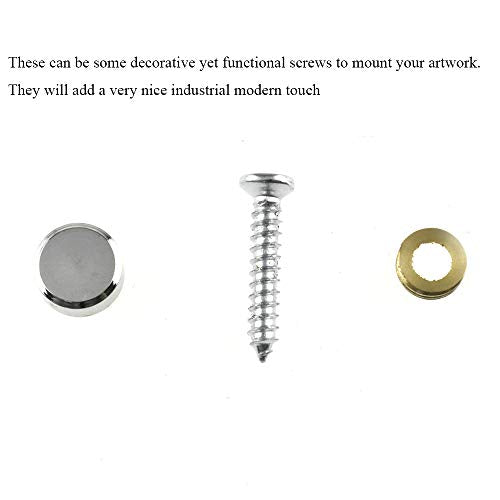 Hahiyo 12mm Diameter Mirror Screws Brushed Stainless Steel Solid Easy Install Brass Washer Decorative Caps Fasteners Nails 10 Pairs for Bathroom Mirrors Panels Kitchen Ceiling Arts Crafts - size: 12mm-10sets