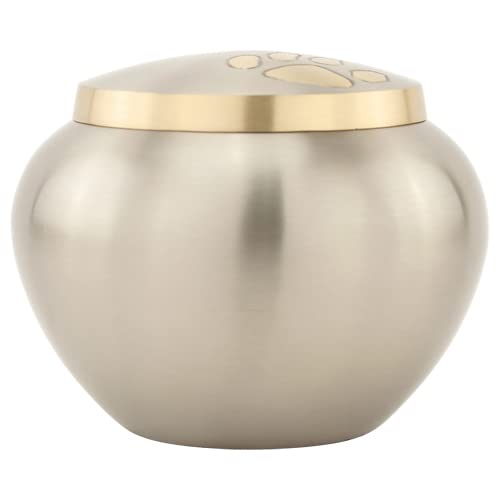 Paw Print Round Pet Cremation Urn for Ashes in Pewter Small, Brass, Small Sized, 3.5 Inches High - color: Pewter Silver, size: Small Pet Urn