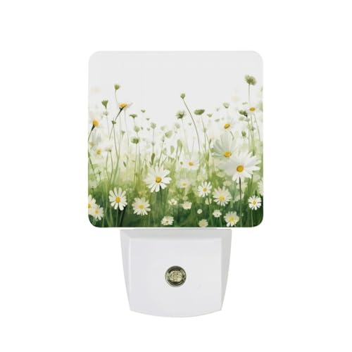 Flowers Night Light, Plug into Wall Decor Nightlights for Bedroom, Bathroom, Hallway, Kitchen, with Dusk to Dawn Light Auto Sensors LED Night Lights for Boys Girls Women Men Room Gifts - color: Flowers