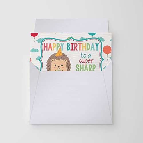 Super Sharp Friend Hedgehog Birthday Pun Themed Single (1) All Occasion Blank Birthday Card To Send To Friends & Family, 4"x 6" (when folded) Fill In Greeting Note Card by AmandaCreation - style: Super Sharp Friend Hedgehog