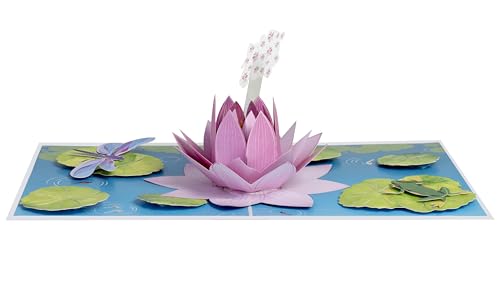 iGifts And Cards Pink Lotus Flower 3D Pop-Up Card – Serene Wishes 6"x8" | Thinking Of You, Get Well, Sympathy, Meditation Theme, Friend, Teacher, Nature Lover, Spiritual Seeker Keepsake, Notecard - color: Pink Lotus