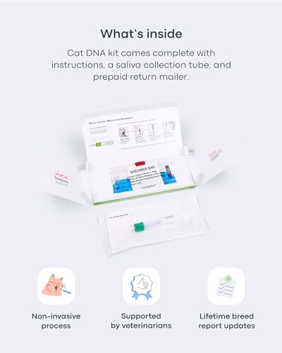 Basepaws Cat DNA Test Kit, Breed, Health & Dental Insights (Pack of 2) - size: 2 Count (Pack of 1)