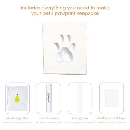 Pearhead Pet Paw Print Memorial Frame with Clay Imprint Kit, White - color: White Pawprint Desk Frame