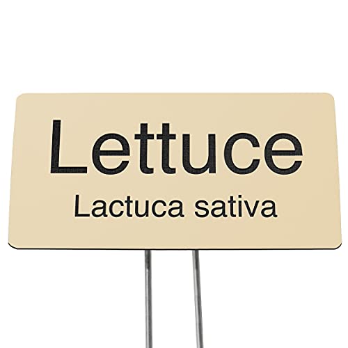Plastic Garden Sign- Include Your Custom Text for A Garden Dedication or Memorial, or Label Your Plants and Flowers (Almond with Black, 4 x 2) - size: 4 x 2"