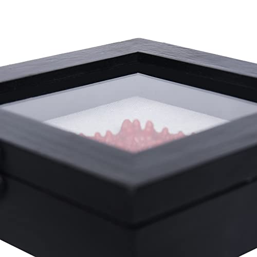 6x6 Small Shadow Box Frame with Glass, Hinged Door, Solid Wood, Black