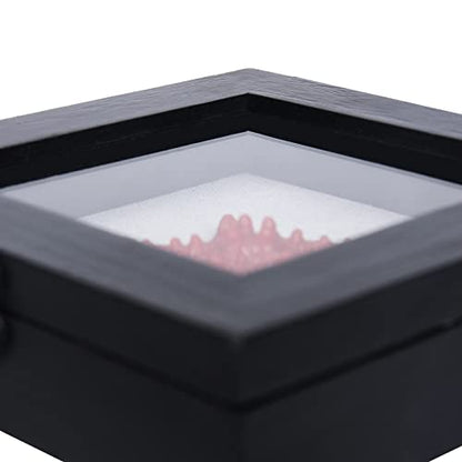 6x6 Small Shadow Box Frame with Glass, Hinged Door, Solid Wood, Black