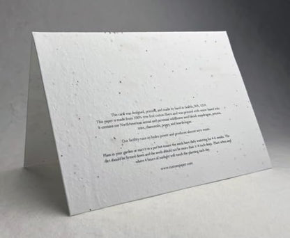 Of The Earth Handmade Paper - Plantable Wildflower Seed Folding Card - Sympathy Designs - 5" x 7" - Set of 3 - w/Recycled Envelopes (Watercolor Wildflowers) - color: Watercolor Wildflowers