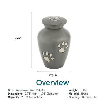 Classic Slate Pet Keepsake Cremation Urn for Ashes, Brass, Gray Urn, Dog Urn, Cat Urn, Keepsake Sized Pet Urn, 2.75 Inches High - color: Gray