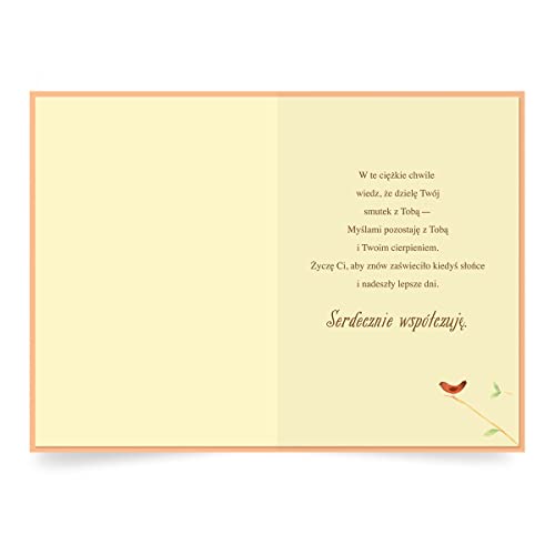 Designer Greetings Polish Language Sympathy Card 6 Pack | Polish Language Sentiment, Boxed Card Set, Matching Envelopes - style: 6 PK Polish Sympathy - Red Jay