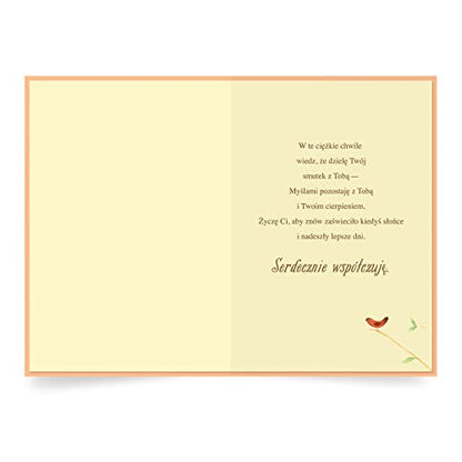 Designer Greetings Polish Language Sympathy Card 6 Pack | Polish Language Sentiment, Boxed Card Set, Matching Envelopes - style: 6 PK Polish Sympathy - Red Jay