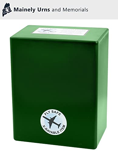 CarrySafe TSA-Approved Travel Urn Kit – Guaranteed Fly-Safe Temporary Cremation Urn for Human Ashes – Personalized, Airline Friendly, 200 Cu in, Green Plastic with Travel Box - color: Green