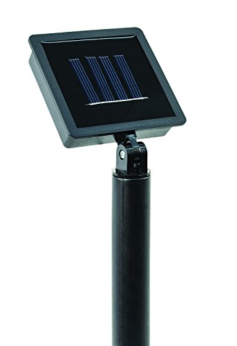 IdeaWorks JB7356 Dog Paw Solar Lights Outdoor Panels - Bright Energy Efficient and Perfect for your Garden - 4 pc Set, Black