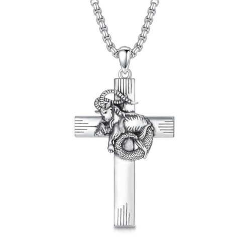 PROESS Cross Necklace for Women Men Sterling Silver Rose/Sunflower Cross Pendant Religious Jewelry Christmas Birthday Mothers' Day Gifts - color: 01-04-Capricorn