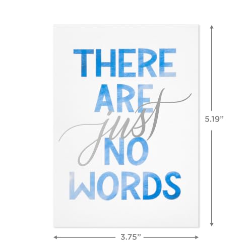 Hallmark Bulk Blank Sympathy Cards with Envelopes, 20-Pack (Just No Words) - color: White, Blue